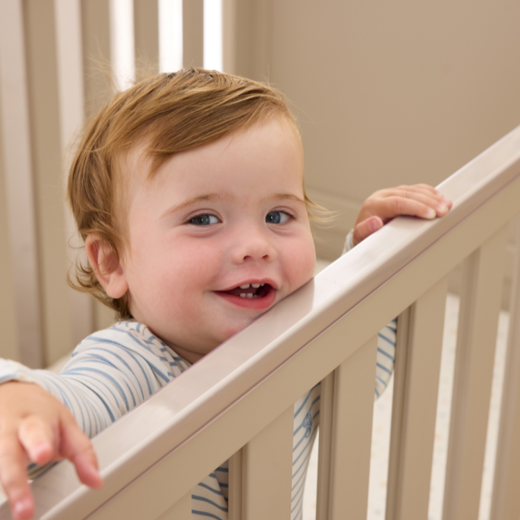 Misha Cot in Mushroom & Golden Oak