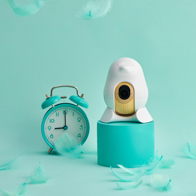 CuboAi Smart Baby Monitor 3