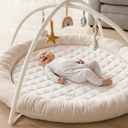 Ollie Play Gym