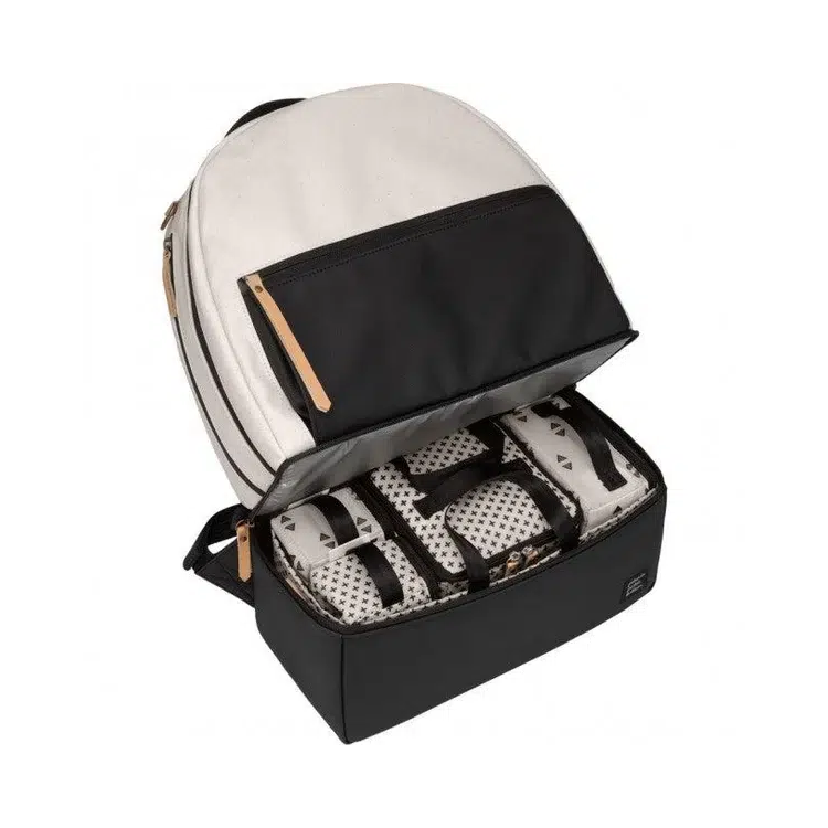 Axis Backpack